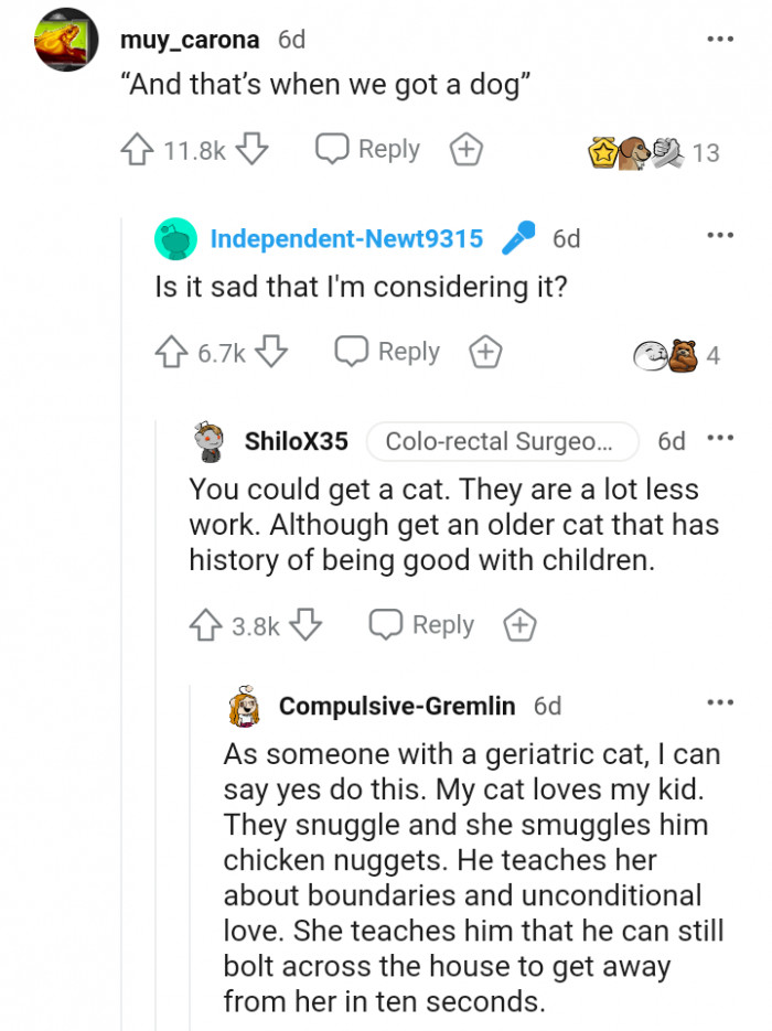 Situations like this could force anyone to consider getting a dog they never planned for