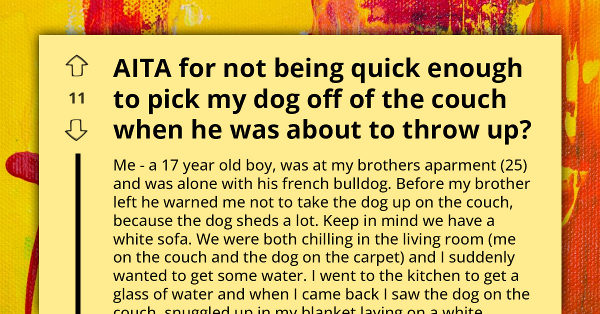 Panic And Puppy Vomit - Navigating Pet Care Under Strict Rules