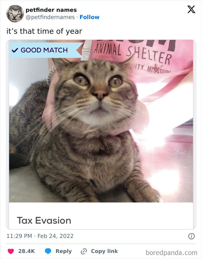 Tax Evasion