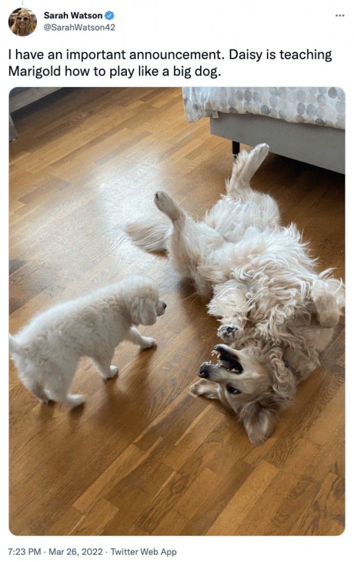 4. "This is how you do it, young'un!"