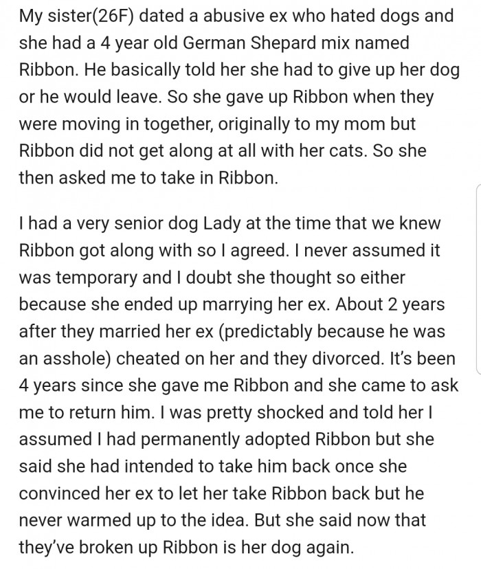 Apparently, OP's sister's partner isn't a dog lover, which forced her to give Ribbon away. Now she's back for the dog after 4 whole years.