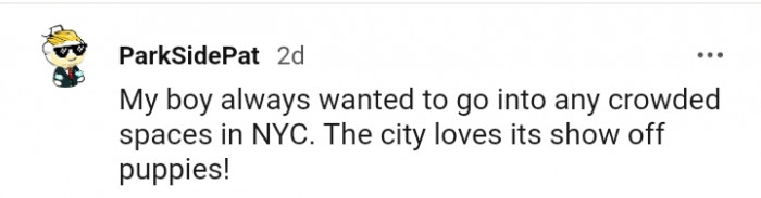 25. New York City Doggo