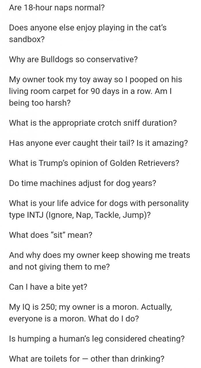 Funny dog question thread screenshot, “It’s the last question for me” caption