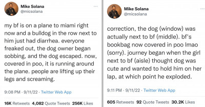 Story Of Dog With Diarrhea Causing Plane Havoc Provokes Discussion About Allowing Animals Into Main Cabin