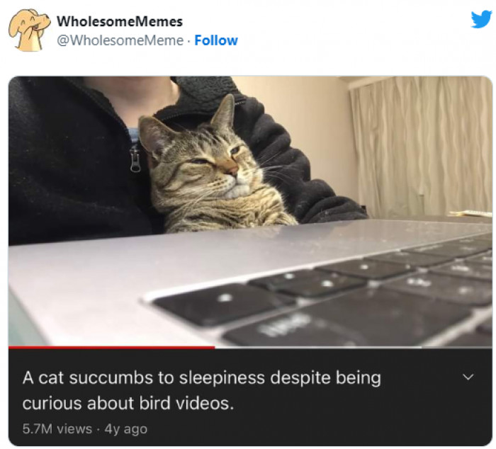 12. Sleepy, but fighting it