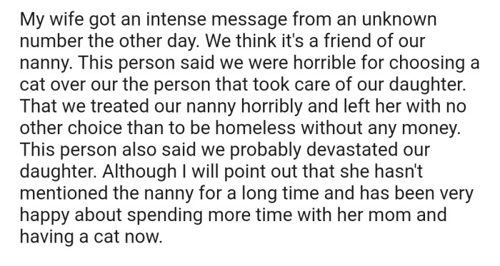 A few months later, OP's wife got an intense message from an unknown number. Whoever it was took the time to bash OP and their wife for choosing a cat over their nanny, who had taken care of their daughter