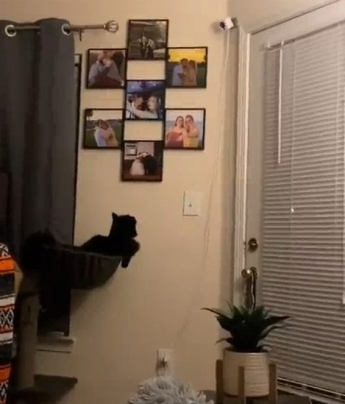 This Is Such a Convenient Spot for Darla.