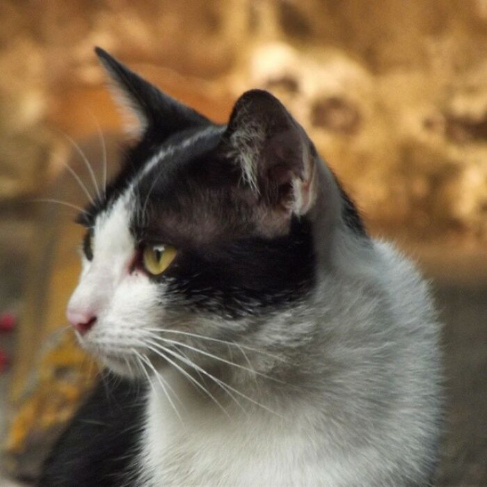 19. He's got so many stories to tell.