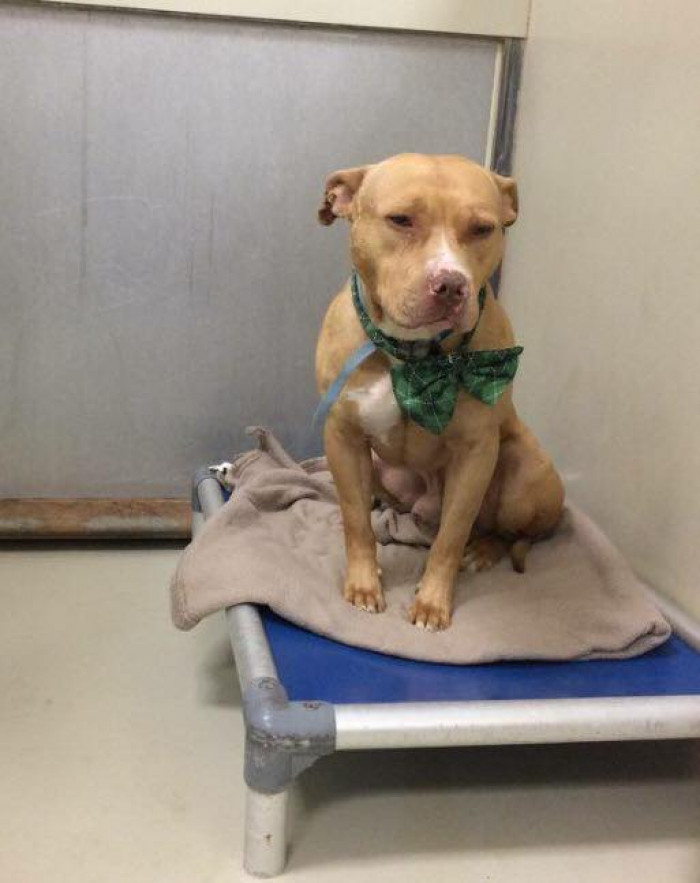 Dawn Timmeney heard about March and decided to share his heartbreaking story on social media