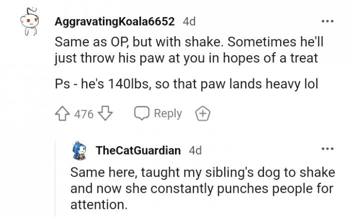 2. My sibling's dog punches people for attention