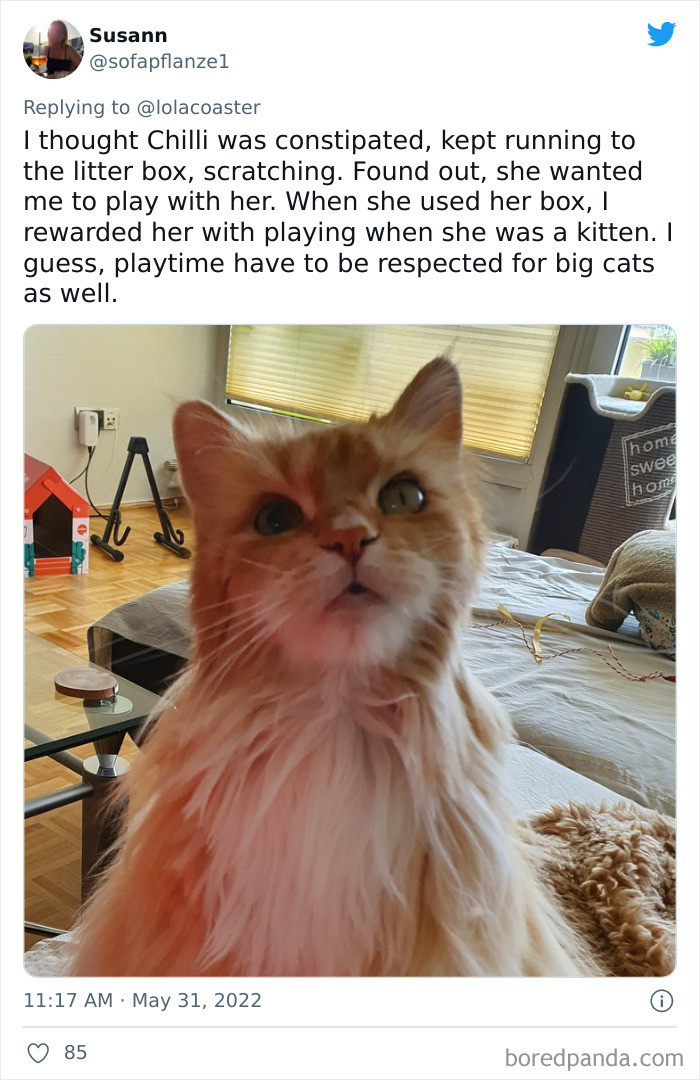 21. Playtime is a must