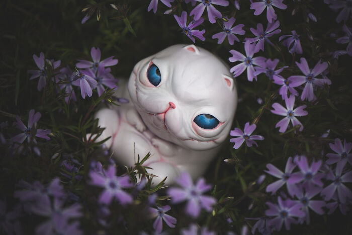 7. Here is a Bad Fat Cat