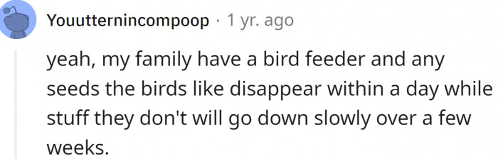 Seeds birds like disappear within a day...