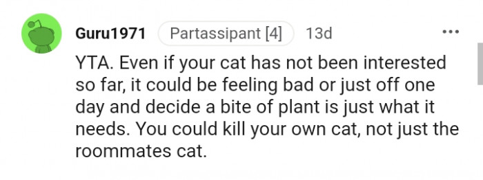 This Redditor believes the OP could harm their cats too