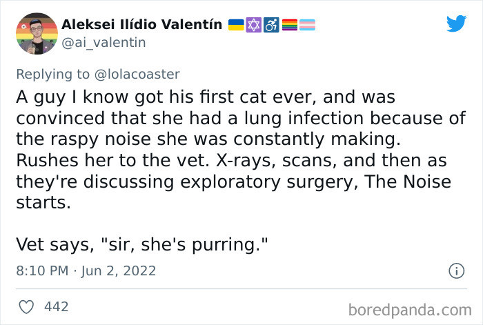 #14 Is this a normal panic for a first-time cat owner?