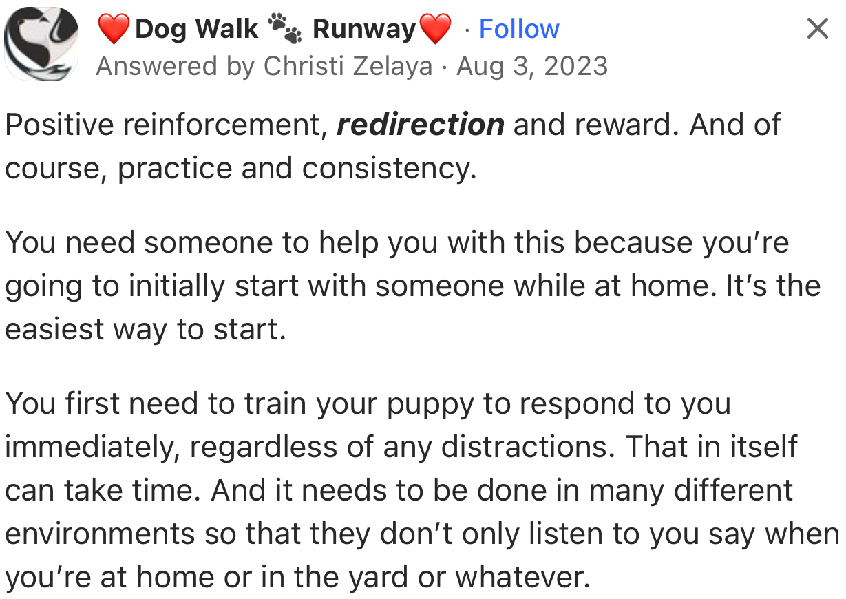 According to this user, OP would benefit from training their puppy to respond immediately, regardless of distractions around. This can be achieved through positive reinforcement, redirection and reward