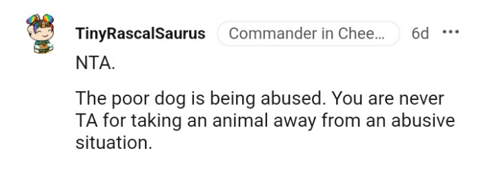 The poor dog is being abused and neglected