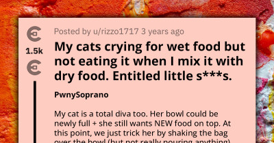 Short Story of Entitled Little Cats Crying for Wet Food Has Other Redditors Sharing Theirs