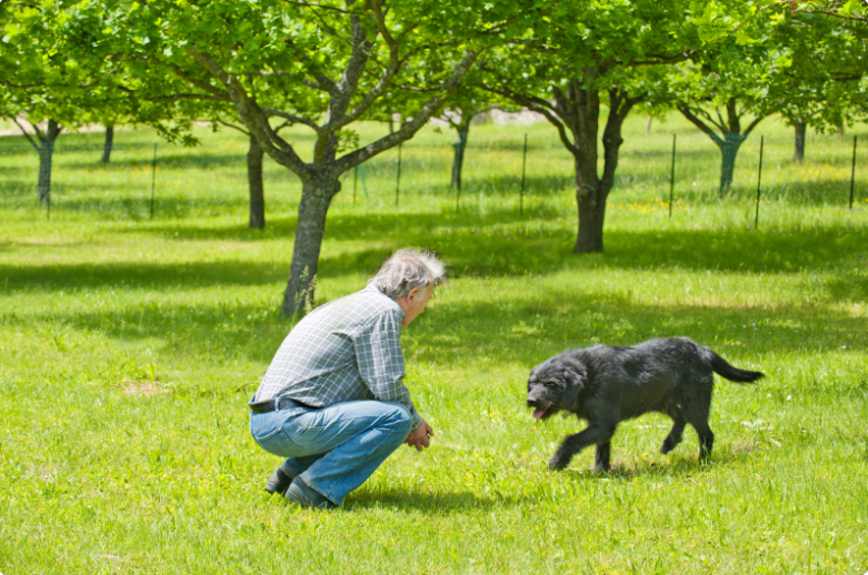 Talking to pets strengthens the bond.