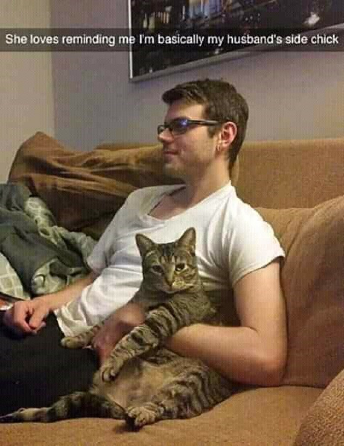 21. Cats won't hesitate to put you in your place.