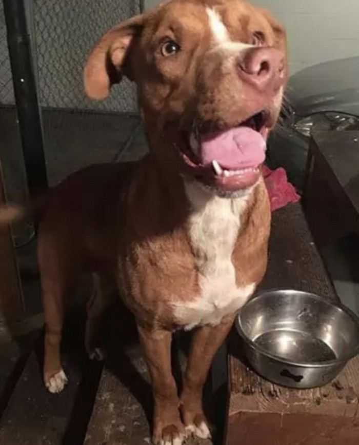 His skull healed but ended up slightly deformed