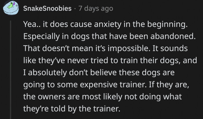 Since the Dogs Are Rescues, It Is Understandable That They Have Anxiety, but They Can Help Them Feel Comfortable