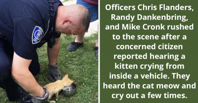 4th Of July Saw The Rescue And Freedom Of A Dehydrated Kitten Trapped In A Car Fender