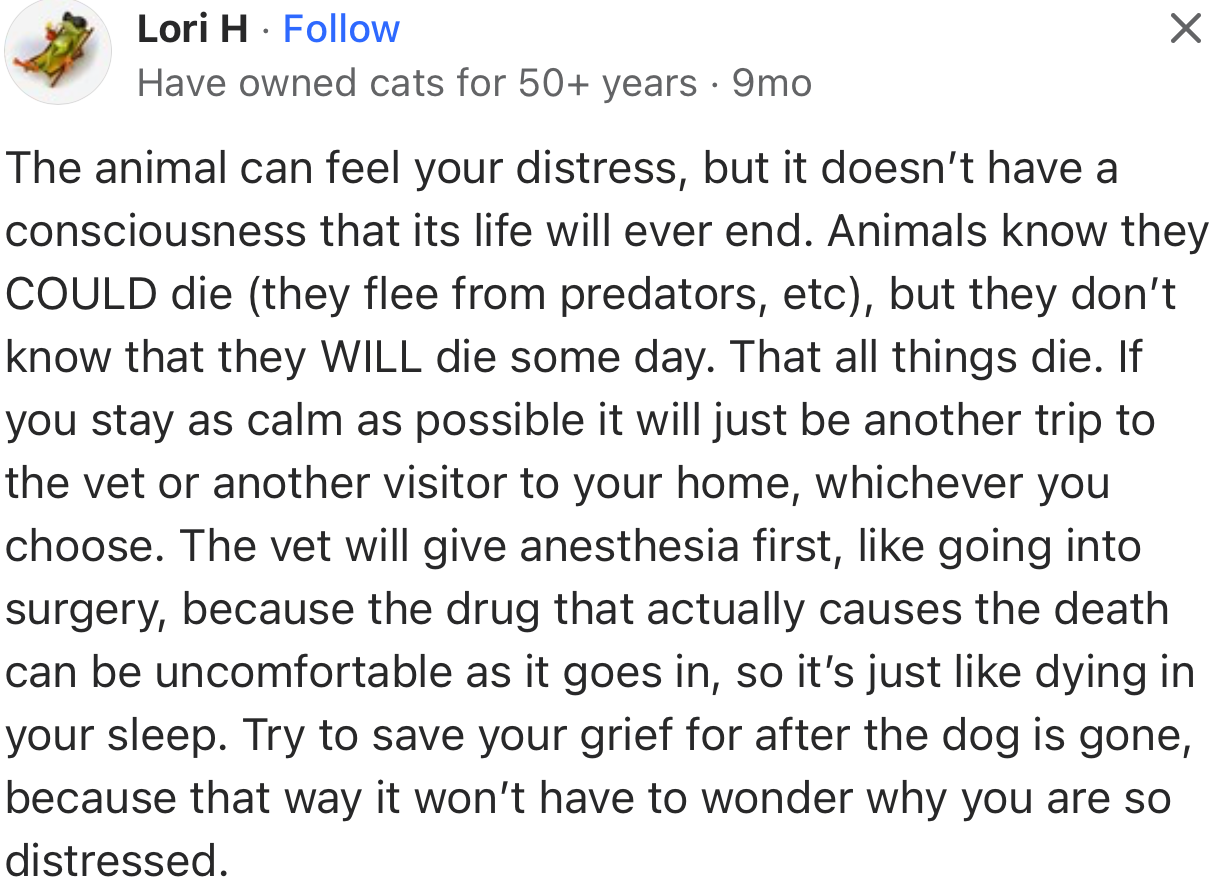 “The animal can feel your distress, but it doesn’t have a consciousness that its life will ever end.”