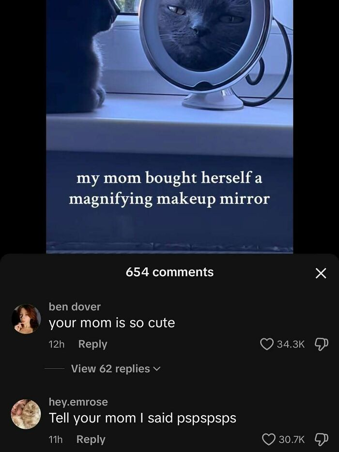 49. “She’s serving resting judgment face and flawless fur.”