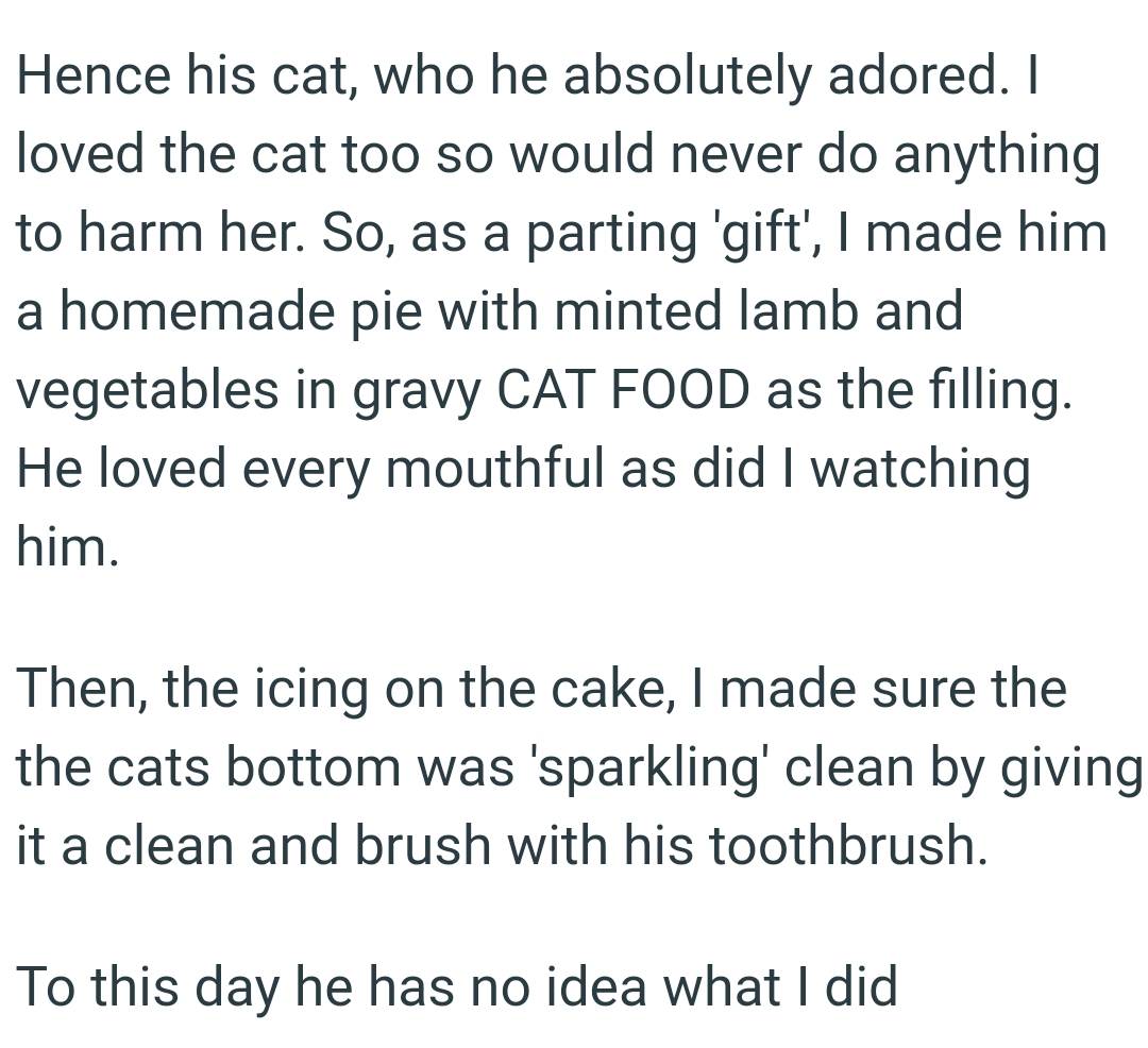 OP made him a homemade pie with minted lamb and vegetables in gravy CAT FOOD as the filling