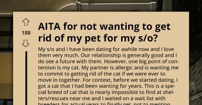 Partner Gives Ultimatum - “Get Rid of Your Cat or We Can Never Live Together”