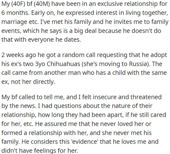 OP and her boyfriend have been together for six months, and now his ex has asked him to adopt her Chihuahuas.
