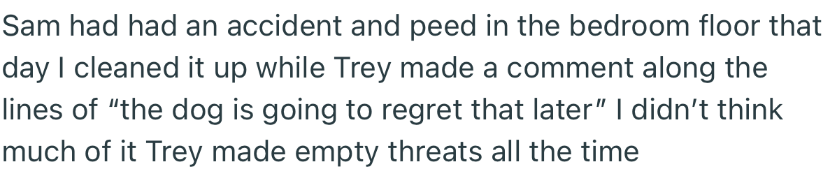 Unsurprisingly, the dog made a mess right after OP finished cleaning their bedroom. But this time, Trey was determined to teach it a lesson