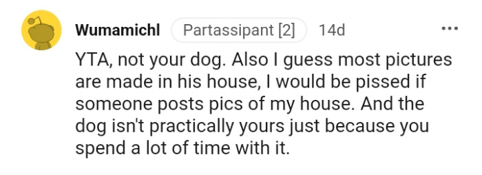 The dog is not practically yours