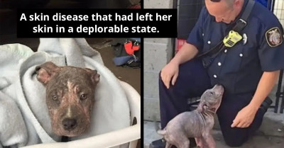 Shelter Puppy Overjoyed As Firefighter Who Rescued Her Returns To Adopt Her