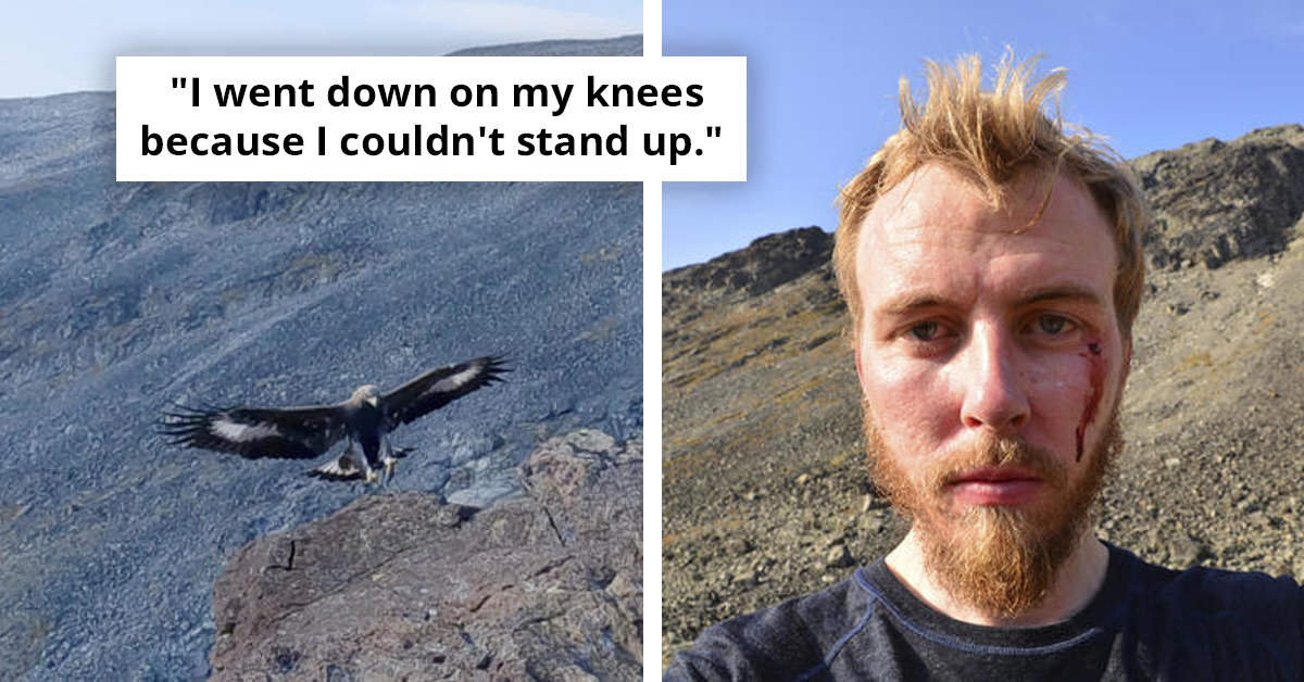 Golden Eagle Attacks 20-Month-Old Girl And Three Others In Norway, Leaving Deep Wounds