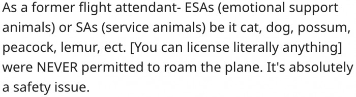 13. No pet is allowed to roam freely on a plane.