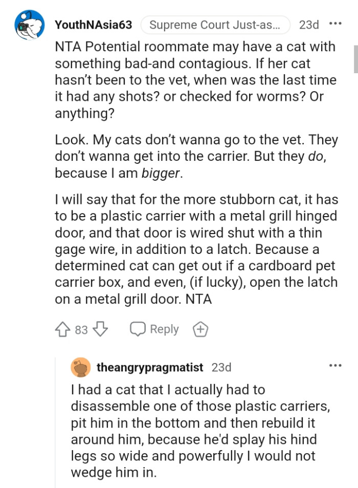 A determined cat can get out of a cardboard pet carrier.