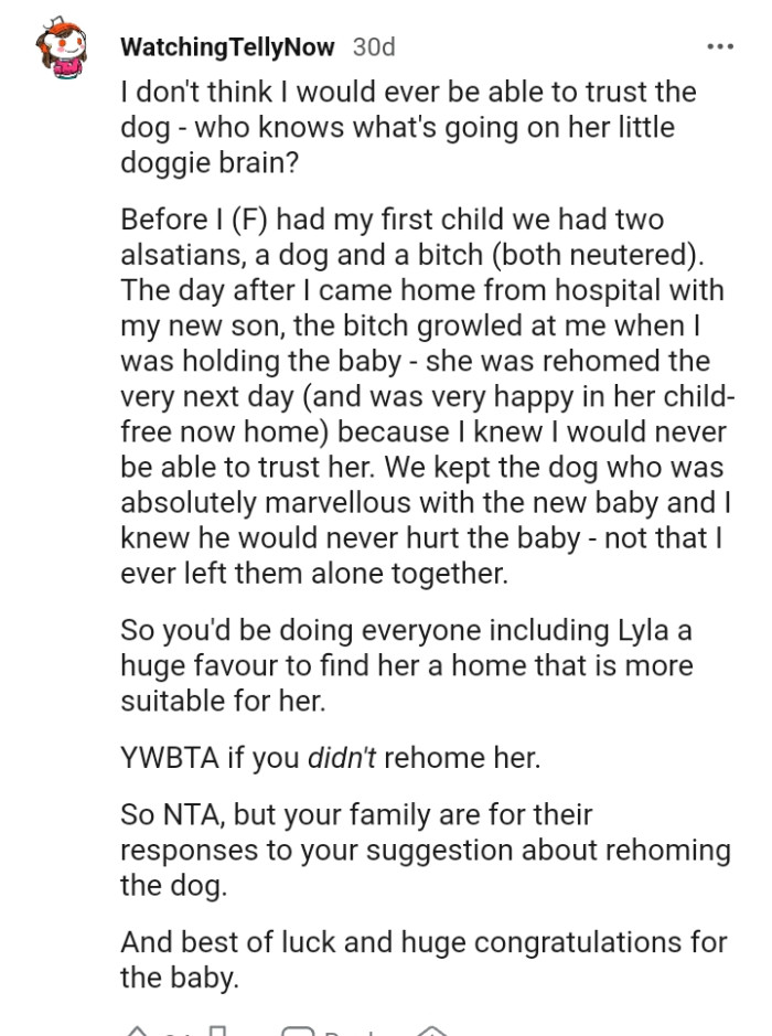 Who knows what's going on in her little doggie brain?