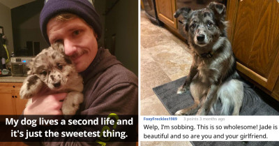Dog Owner Shares How His Dog Lives A Precious Dual Life By Regularly Visiting A Bereaved Elderly Woman To Comfort Her