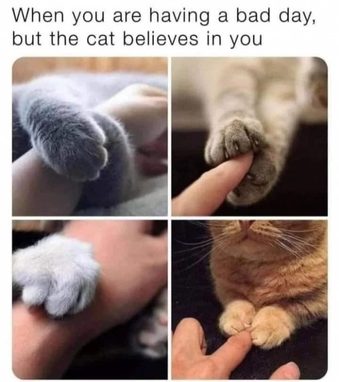 38. I believe in you, hooman