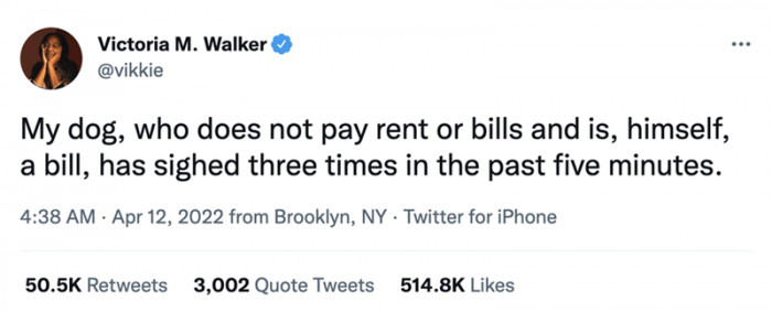 And this is where it all begins...