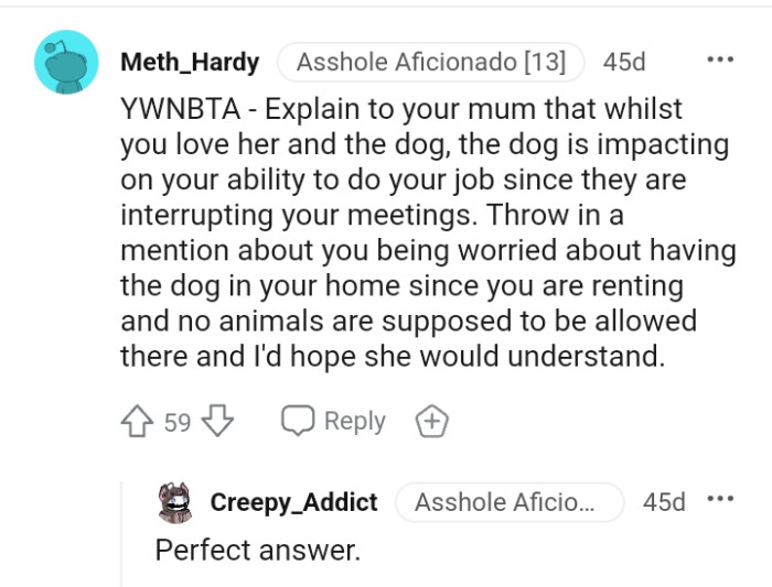 Throwing in a mention about her being worried about having a dog in her home