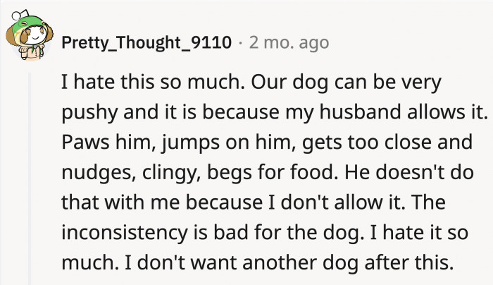 Dogs thrive with routine, and if someone is allowing them more than what the other can give, it can result in confusion