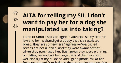 Couple Adopt Banned Dog Breed To Help Sister-In-Law Escape Legal Trouble In Her State, Only For Her To Demand Adoption Fee