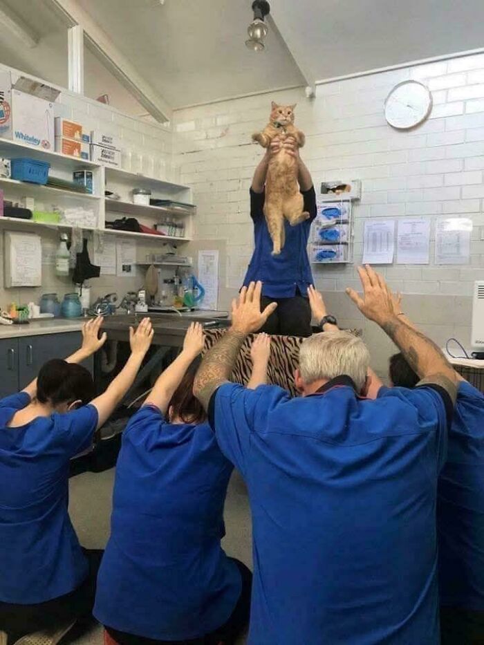 40. All hail the King!