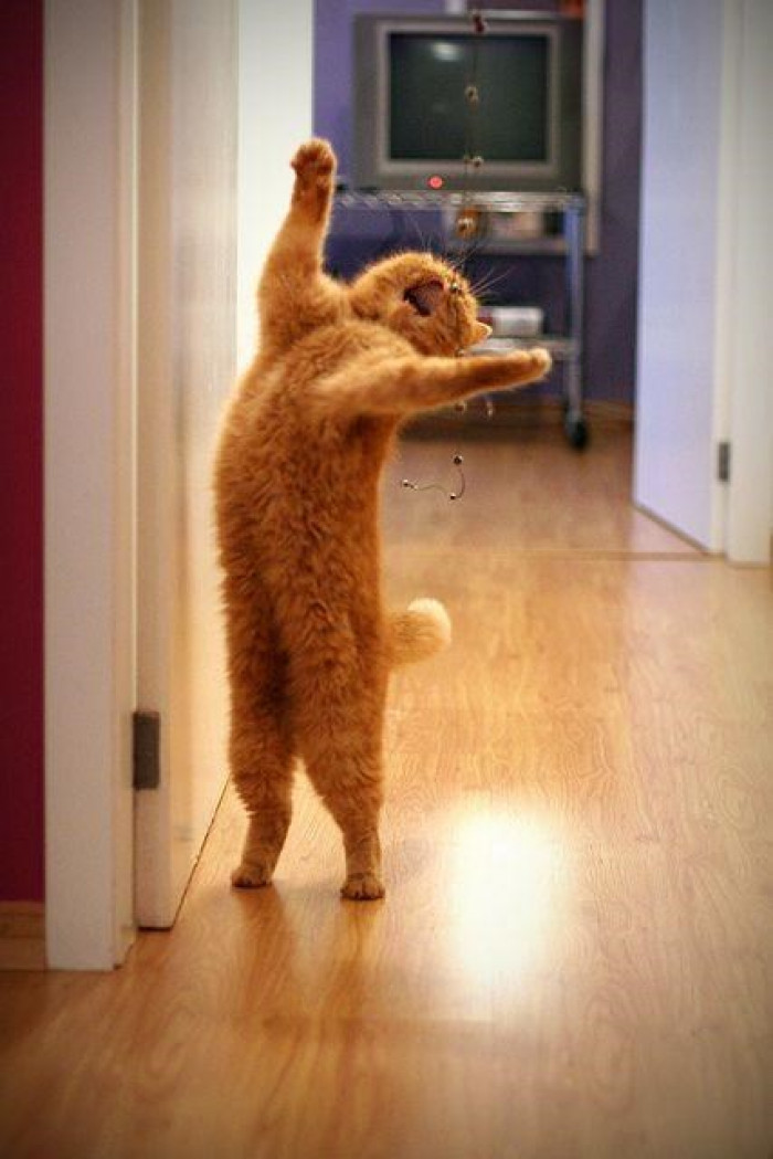 21. I'm soooooooooooo hungry!!!!