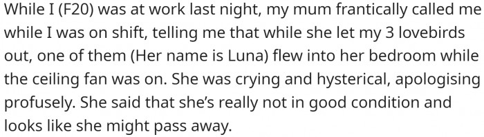 She lives with her mom and has three lovebirds. Her mom let them out while OP was working, and it didn't go well