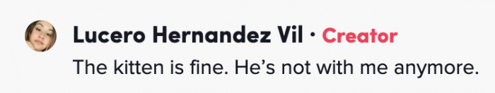 Lucero said that she had to give up the cat-slash-dog to someone else's care.
