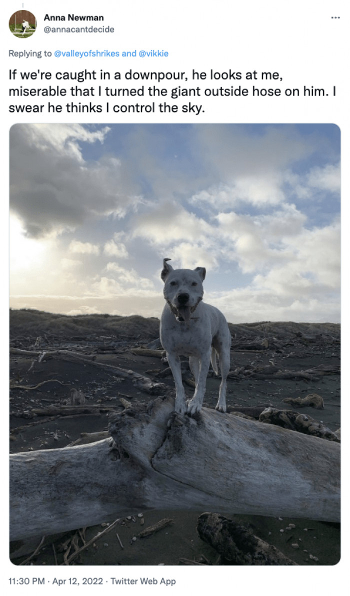 15. He thinks I control the sky